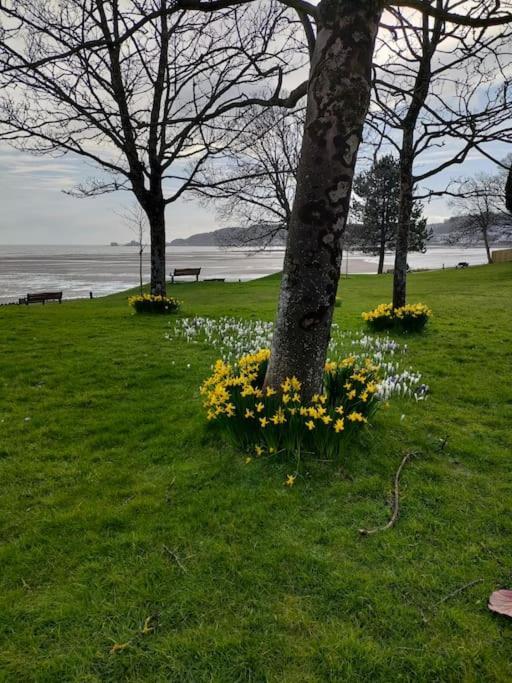Fishermen'S Cottage With Log Burner, 2 Bathrooms & Sea Views From Garden Terraces ザ・マンブルズ エクステリア 写真